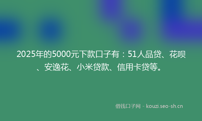 2025年的5000元下款口子有：51人品贷、花呗、安逸花、小米贷款、信用卡贷等。