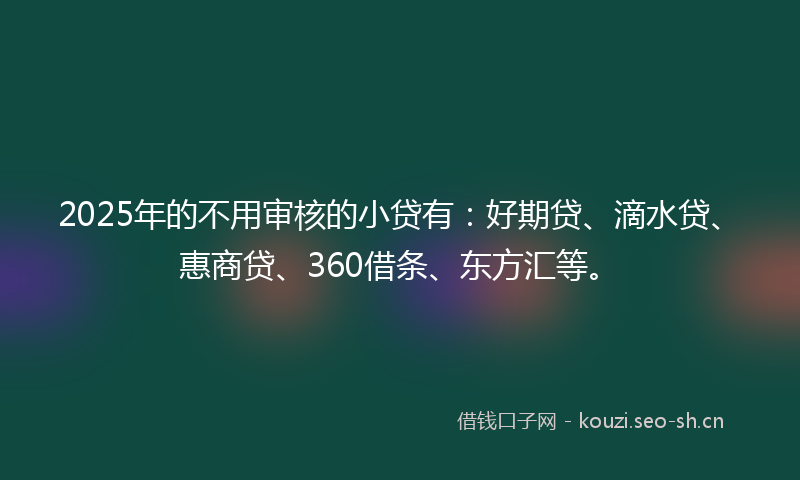 2025年的不用审核的小贷有：好期贷、滴水贷、惠商贷、360借条、东方汇等。