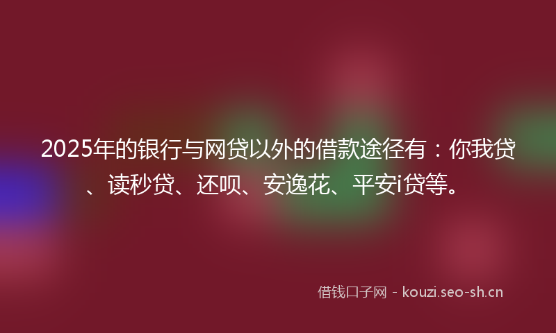 2025年的银行与网贷以外的借款途径有：你我贷、读秒贷、还呗、安逸花、平安i贷等。