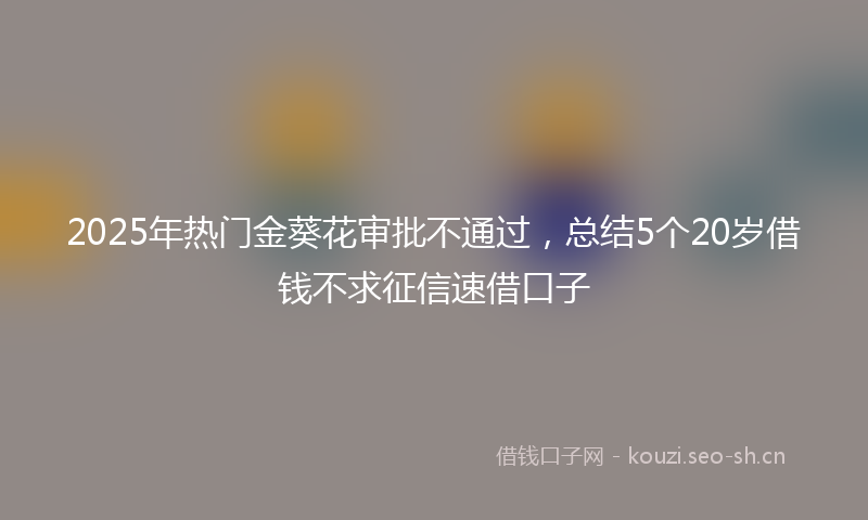 2025年热门金葵花审批不通过，总结5个20岁借钱不求征信速借口子