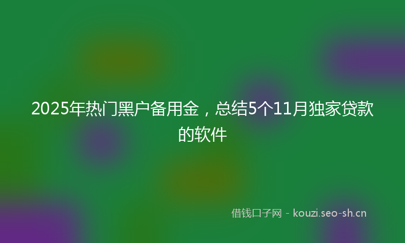 2025年热门黑户备用金，总结5个11月独家贷款的软件