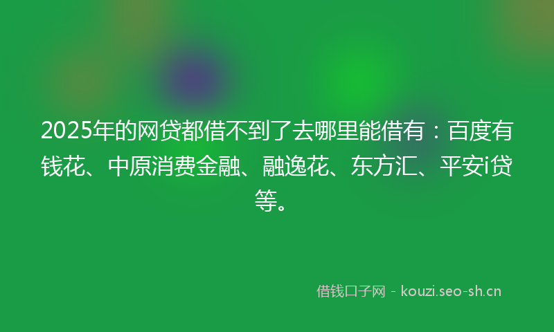 2025年的网贷都借不到了去哪里能借有：百度有钱花、中原消费金融、融逸花、东方汇、平安i贷等。
