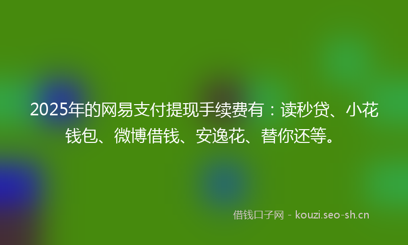 2025年的网易支付提现手续费有：读秒贷、小花钱包、微博借钱、安逸花、替你还等。