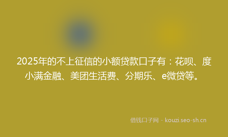 2025年的不上征信的小额贷款口子有：花呗、度小满金融、美团生活费、分期乐、e微贷等。