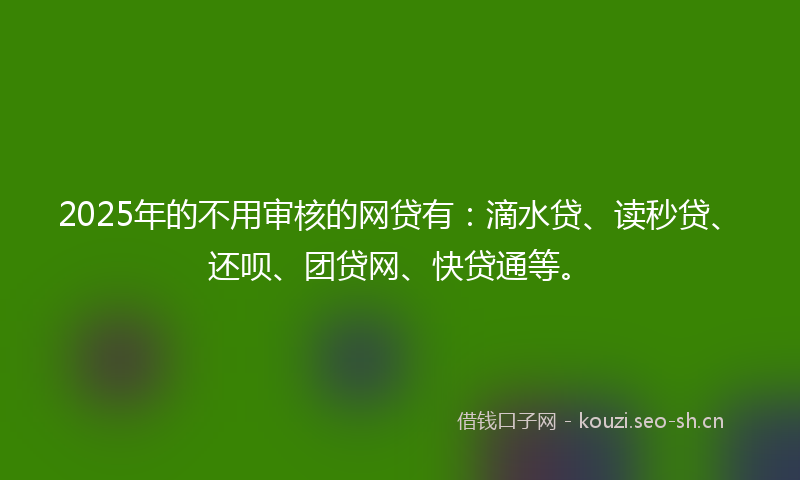 2025年的不用审核的网贷有：滴水贷、读秒贷、还呗、团贷网、快贷通等。
