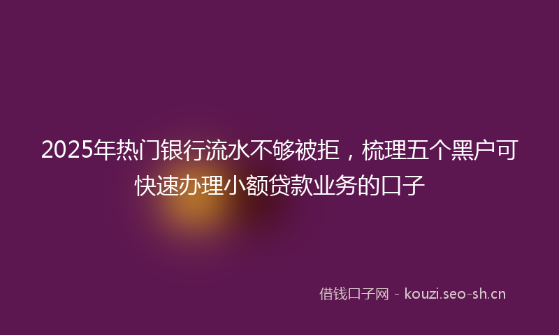 2025年热门银行流水不够被拒，梳理五个黑户可快速办理小额贷款业务的口子