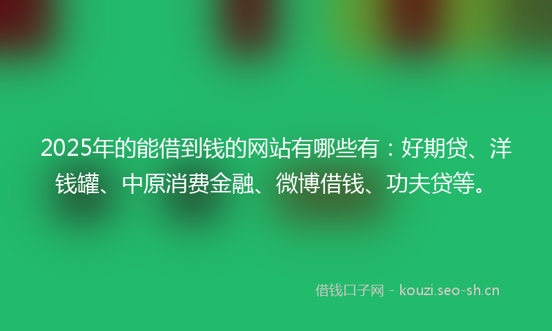 2025年的能借到钱的网站有哪些有：好期贷、洋钱罐、中原消费金融、微博借钱、功夫贷等。
