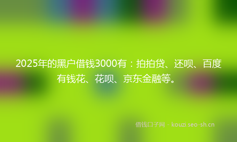 2025年的黑户借钱3000有：拍拍贷、还呗、百度有钱花、花呗、京东金融等。