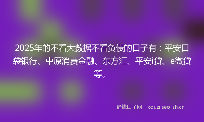2025年的不看大数据不看负债的口子有：平安口袋银行、中原消费金融、东方汇、平安i贷、e微贷等。
