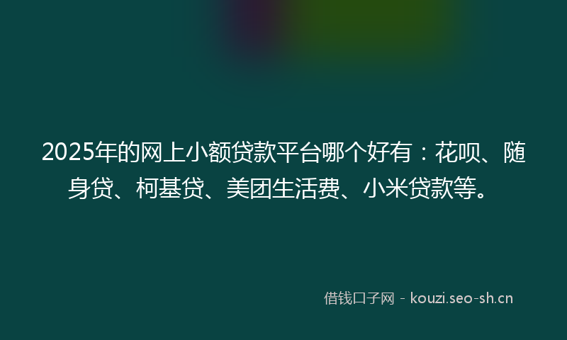 2025年的网上小额贷款平台哪个好有：花呗、随身贷、柯基贷、美团生活费、小米贷款等。