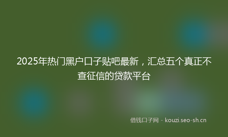 2025年热门黑户口子贴吧最新，汇总五个真正不查征信的贷款平台