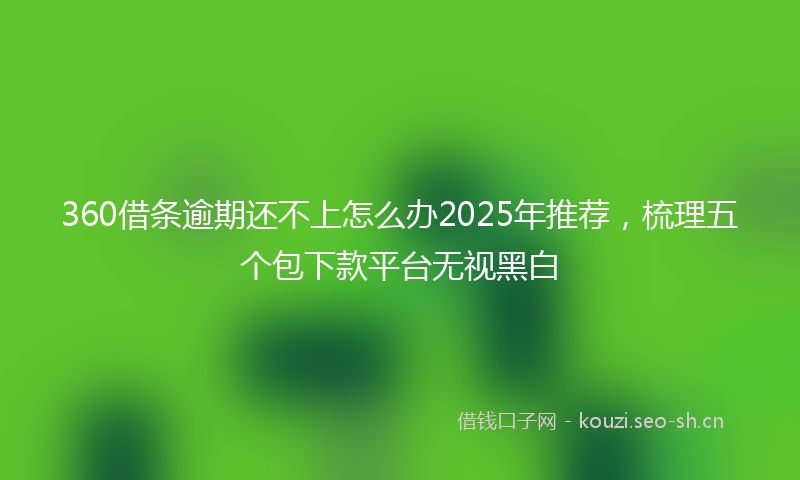 360借条逾期还不上怎么办2025年推荐，梳理五个包下款平台无视黑白