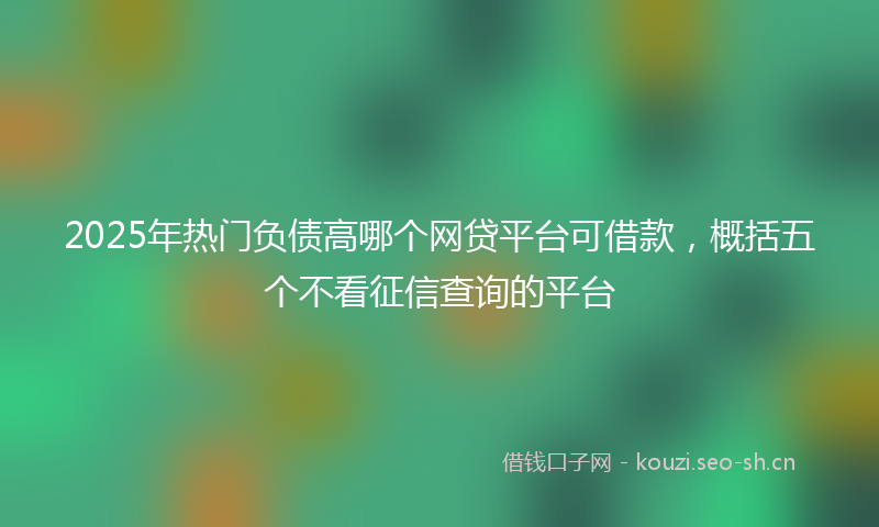 2025年热门负债高哪个网贷平台可借款，概括五个不看征信查询的平台