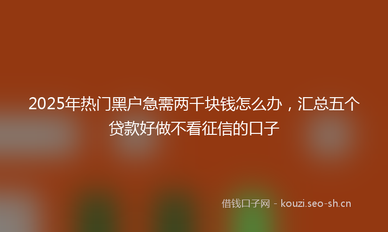 2025年热门黑户急需两千块钱怎么办，汇总五个贷款好做不看征信的口子