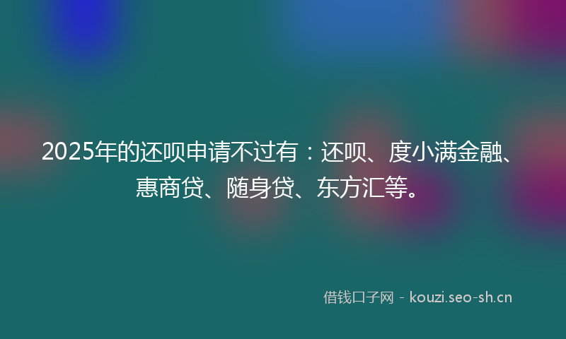 2025年的还呗申请不过有：还呗、度小满金融、惠商贷、随身贷、东方汇等。