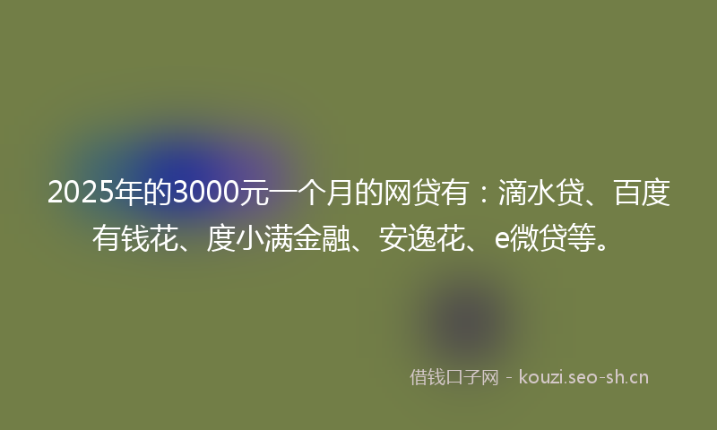 2025年的3000元一个月的网贷有：滴水贷、百度有钱花、度小满金融、安逸花、e微贷等。