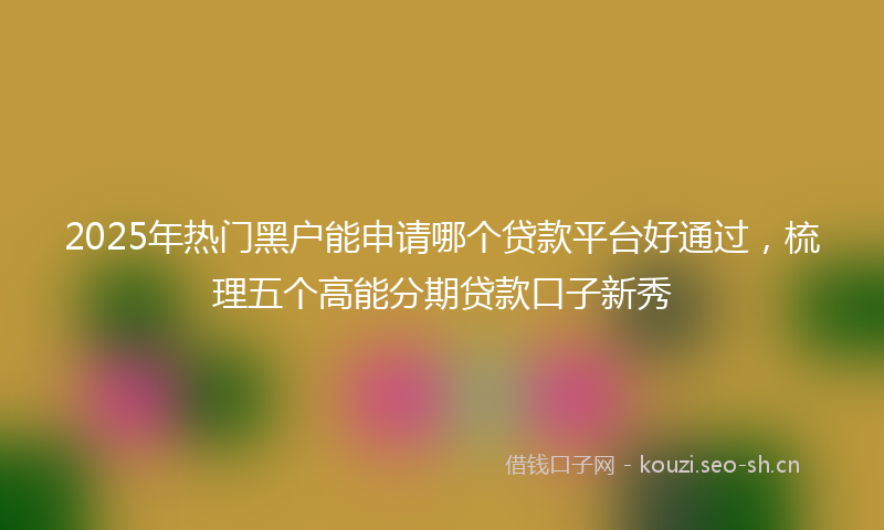 2025年热门黑户能申请哪个贷款平台好通过,梳理五个高能分期贷款口子新秀