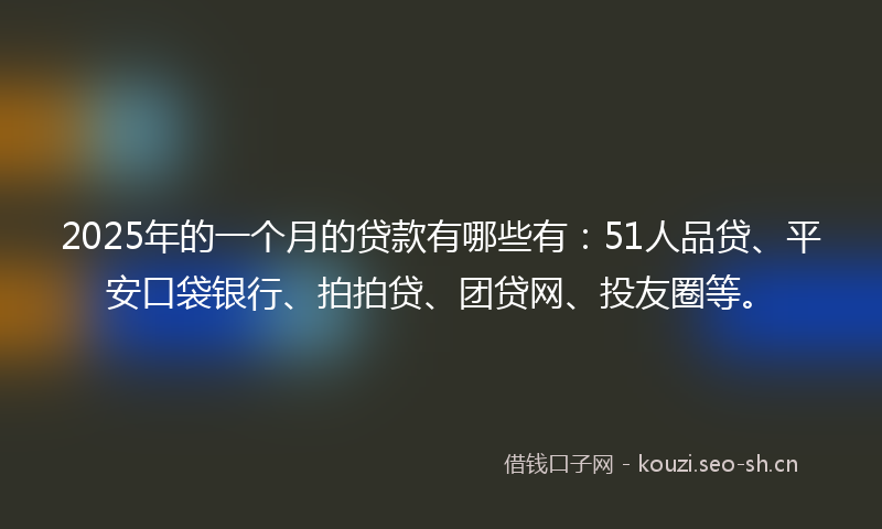 2025年的一个月的贷款有哪些有：51人品贷、平安口袋银行、拍拍贷、团贷网、投友圈等。