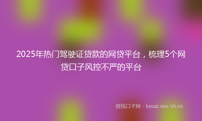 2025年热门驾驶证贷款的网贷平台,梳理5个网贷口子风控不严的平台