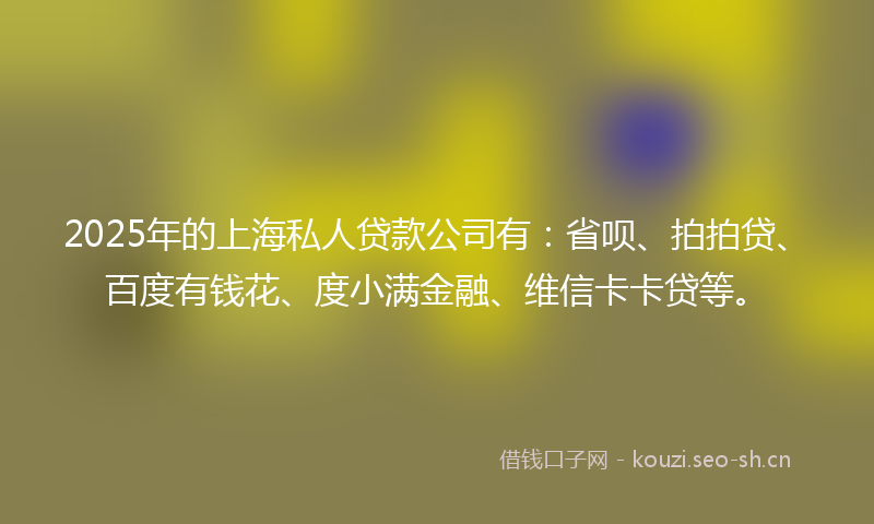 2025年的上海私人贷款公司有：省呗、拍拍贷、百度有钱花、度小满金融、维信卡卡贷等。