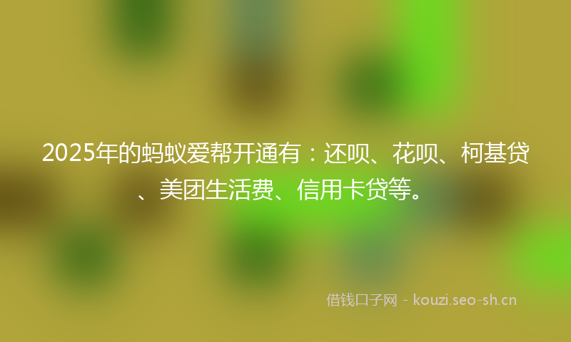 2025年的蚂蚁爱帮开通有：还呗、花呗、柯基贷、美团生活费、信用卡贷等。