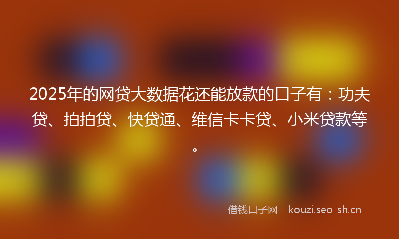 2025年的网贷大数据花还能放款的口子有：功夫贷、拍拍贷、快贷通、维信卡卡贷、小米贷款等。