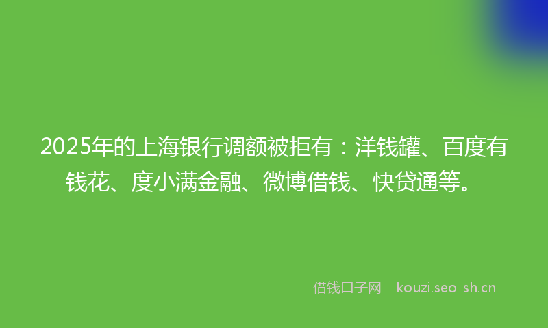 2025年的上海银行调额被拒有：洋钱罐、百度有钱花、度小满金融、微博借钱、快贷通等。