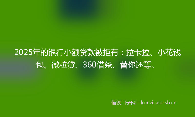 2025年的银行小额贷款被拒有：拉卡拉、小花钱包、微粒贷、360借条、替你还等。