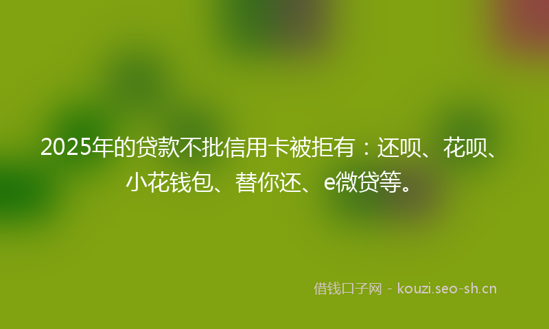 2025年的贷款不批信用卡被拒有:还呗、花呗、小花钱包、替你还、e微贷等。