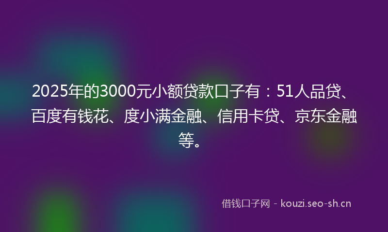 2025年的3000元小额贷款口子有：51人品贷、百度有钱花、度小满金融、信用卡贷、京东金融等。