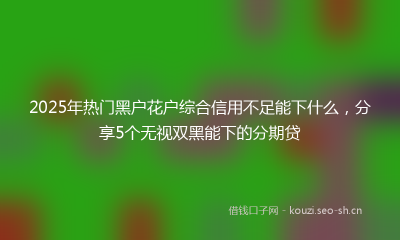 2025年热门黑户花户综合信用不足能下什么，分享5个无视双黑能下的分期贷