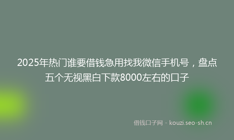2025年热门谁要借钱急用找我微信手机号，盘点五个无视黑白下款8000左右的口子