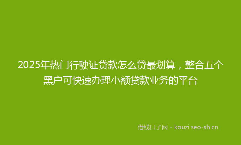 2025年热门行驶证贷款怎么贷最划算，整合五个黑户可快速办理小额贷款业务的平台