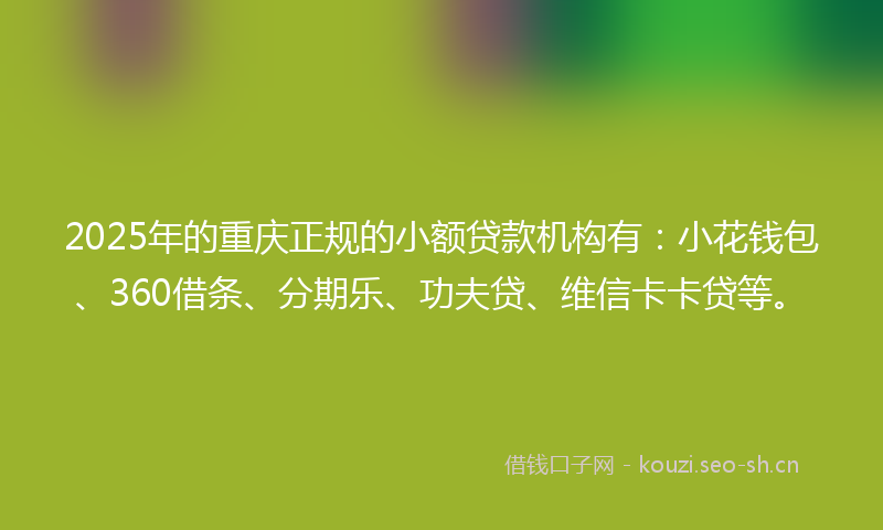 2025年的重庆正规的小额贷款机构有：小花钱包、360借条、分期乐、功夫贷、维信卡卡贷等。