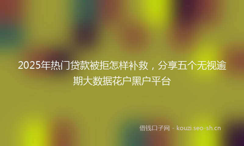 2025年热门贷款被拒怎样补救，分享五个无视逾期大数据花户黑户平台