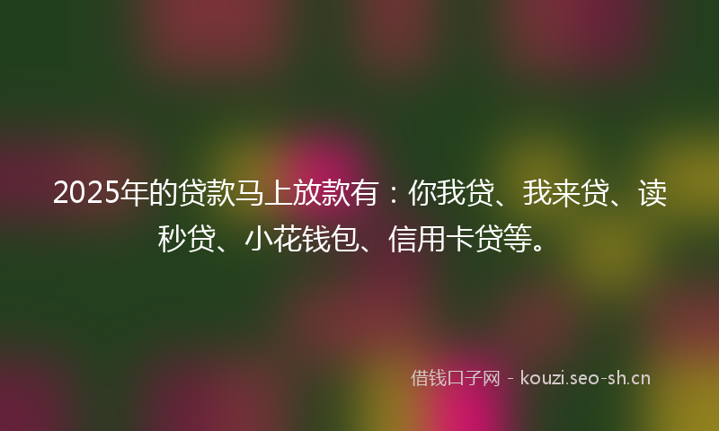 2025年的贷款马上放款有:你我贷、我来贷、读秒贷、小花钱包、信用卡贷等。