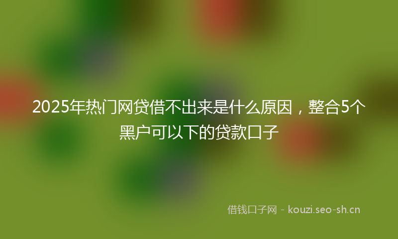 2025年热门网贷借不出来是什么原因，整合5个黑户可以下的贷款口子