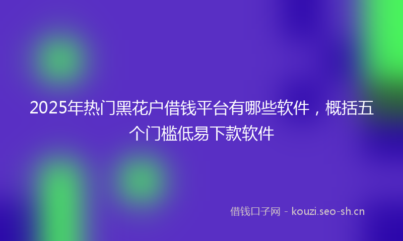 2025年热门黑花户借钱平台有哪些软件，概括五个门槛低易下款软件