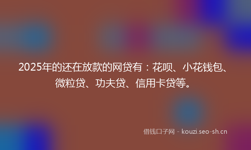 2025年的还在放款的网贷有：花呗、小花钱包、微粒贷、功夫贷、信用卡贷等。