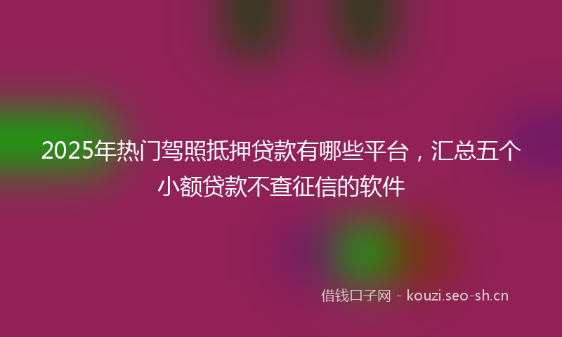 2025年热门驾照抵押贷款有哪些平台，汇总五个小额贷款不查征信的软件