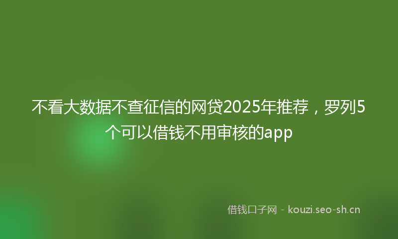 不看大数据不查征信的网贷2025年推荐，罗列5个可以借钱不用审核的app