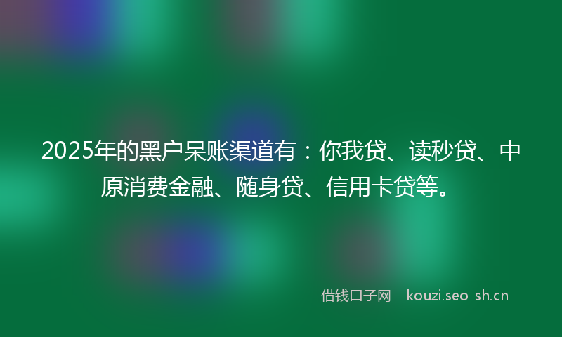 2025年的黑户呆账渠道有：你我贷、读秒贷、中原消费金融、随身贷、信用卡贷等。