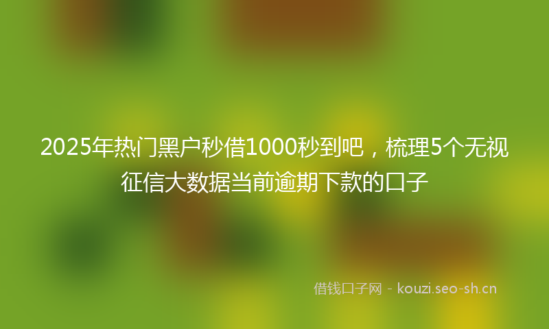 2025年热门黑户秒借1000秒到吧，梳理5个无视征信大数据当前逾期下款的口子