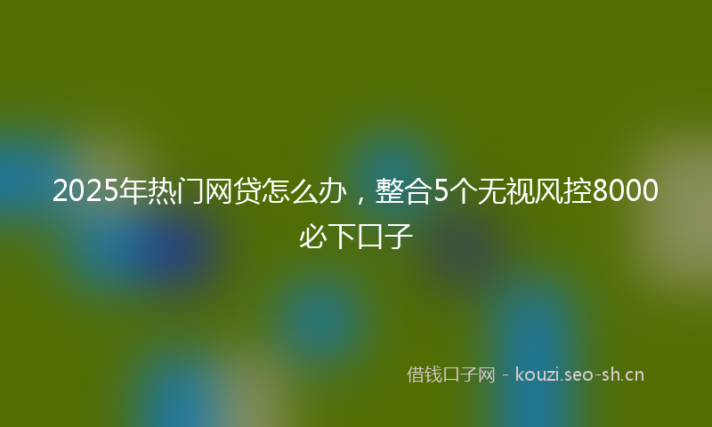 2025年热门网贷怎么办，整合5个无视风控8000必下口子