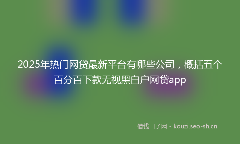 2025年热门网贷最新平台有哪些公司，概括五个百分百下款无视黑白户网贷app