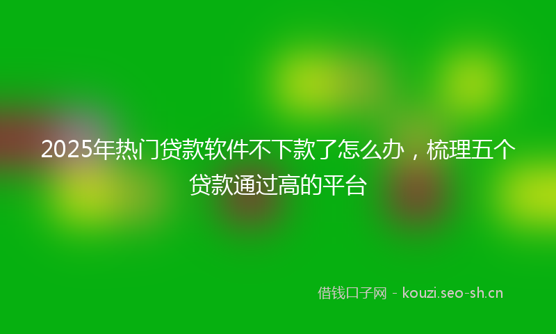 2025年热门贷款软件不下款了怎么办，梳理五个贷款通过高的平台