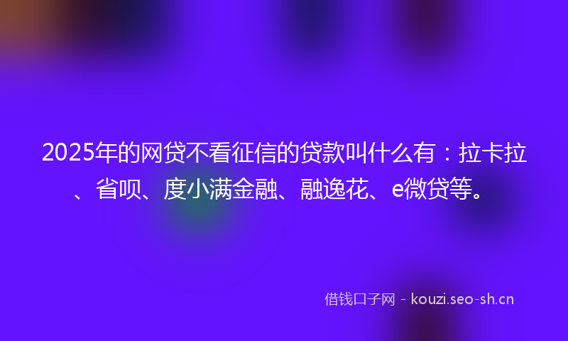 2025年的网贷不看征信的贷款叫什么有：拉卡拉、省呗、度小满金融、融逸花、e微贷等。
