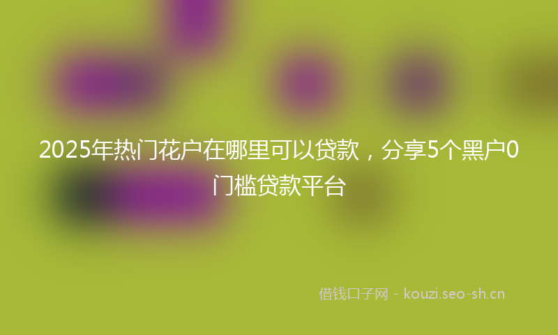 2025年热门花户在哪里可以贷款，分享5个黑户0门槛贷款平台