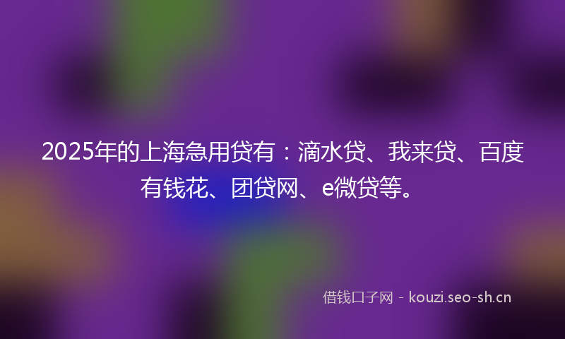 2025年的上海急用贷有:滴水贷、我来贷、百度有钱花、团贷网、e微贷等。