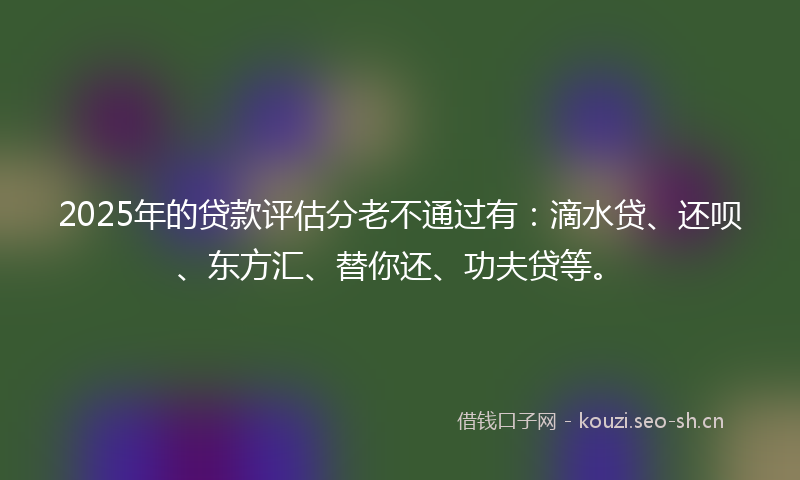 2025年的贷款评估分老不通过有：滴水贷、还呗、东方汇、替你还、功夫贷等。